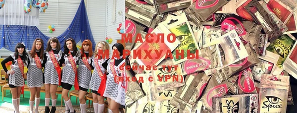 гидра Вязьма