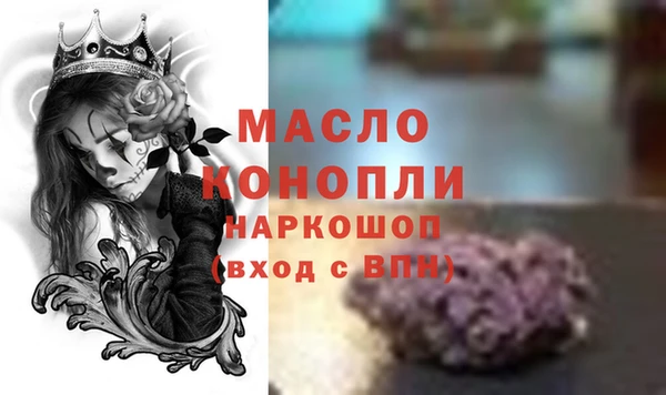 гидра Вязьма