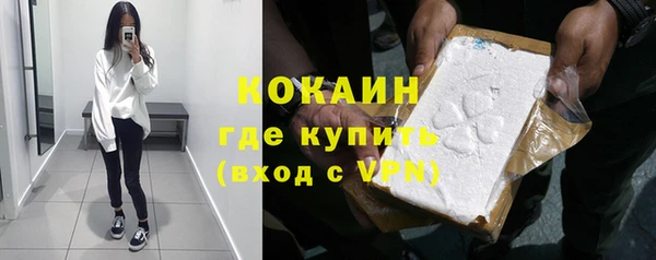 гидра Вязьма