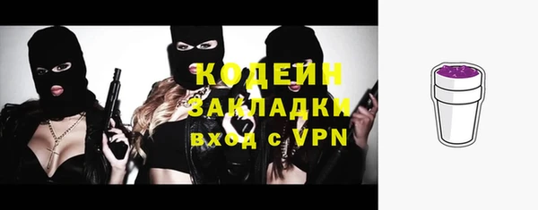 гидра Вязьма