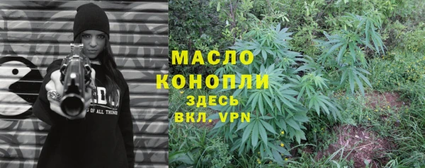 гидра Вязьма