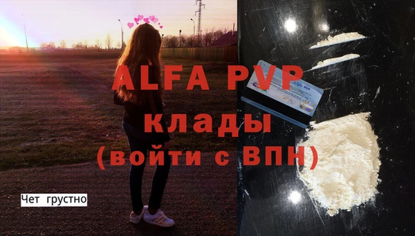 гидра Вязьма