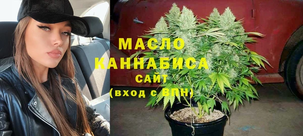 гидра Вязьма